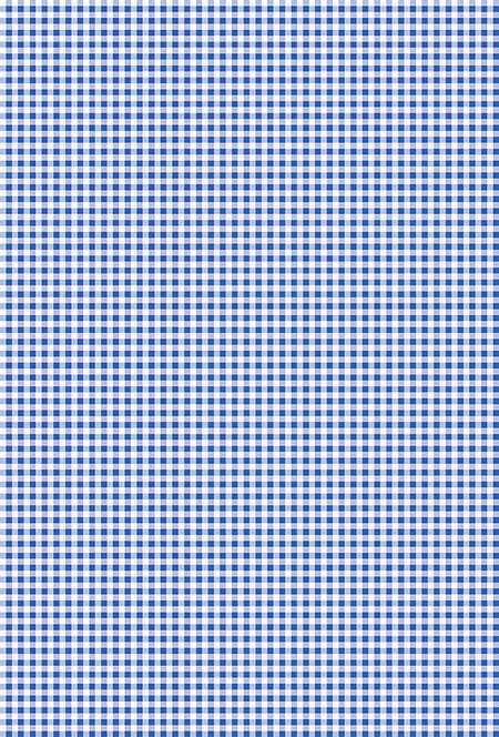 Heyda Бумага д/скрапбукинга "Checks" арт.20-47 746 25 в клеточку. Ф4 синий