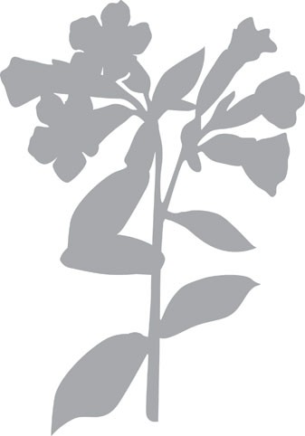 Pronti Трафарет-маска  "Весенний цветок" 470.802.004