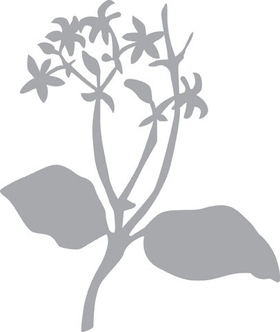 Pronti Трафарет-маска  "Летний цветок" 470.802.005