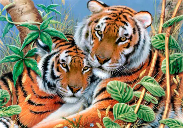 Grafitec Канва жесткая с рисунком 12.301 "Нежные тигры" 50 x 70 см