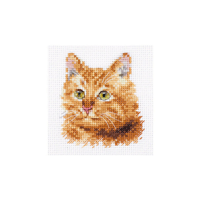 Алиса Набор для вышивания 0-207 "Животные в портретах. Рыжий кот" 8х8см