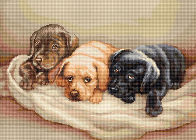 Luca-S Набор для вышивания "Три собачки", 35 x 25,5 см B434