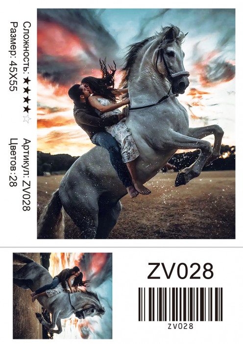 Набор алмазная мозаика круглые детали 45х55см ZV028 "Влюбленные на коне"