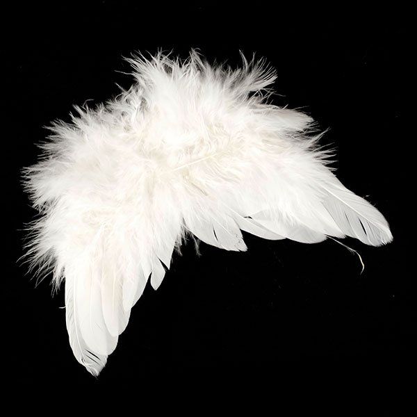 Крылья ангела 10х14см 20705