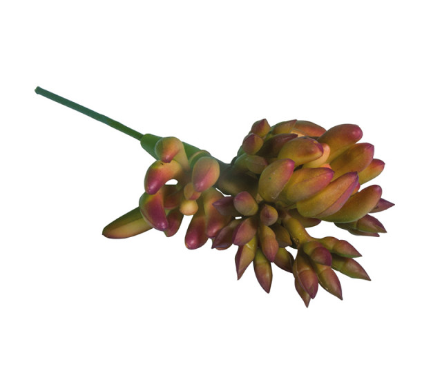 Rayher Декоративный суккулент "Овата", 7 x 5 x 10 см 55858000