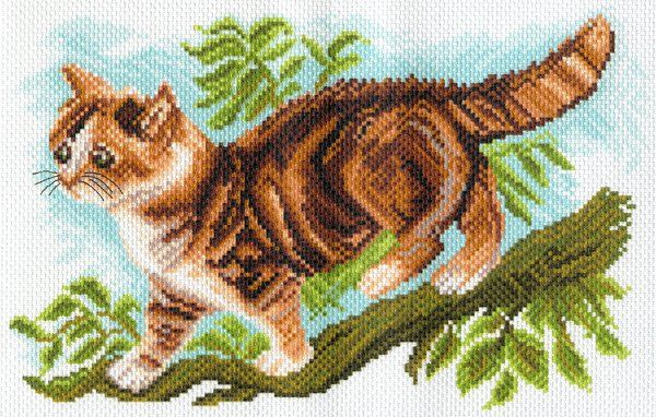 МП канва с рисунком 1627 "Котёнок"